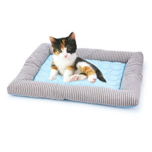 yzDopet ybg}bg ybgxbh ėp ~p ybg\t@[ }bg pxbh }bg ybgp Lpxbh ACXVNn _炩 đ΍ ~΍ ďHp ΍ NbV