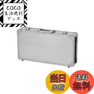 �y���������zKC �G�t�F�N�^�[�P�[�X EC-60/SV �V���o�[ (���� 495 x 250 x 65+20mm)