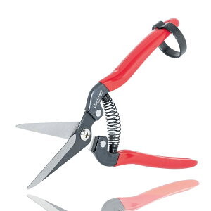 yzGardeness ؂ ΂ SK5Yf| |p͂ ʎ  ~ ϗtA TNTN؂ Kтɂ ₷ 뉀 K[fjO ϗtA |pi np 