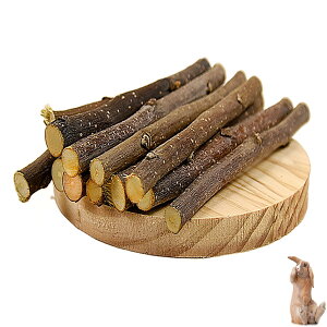 yzLUYING 񂲎}    ނ񂲂̖ [t    ނ 𖁂 Y F nX^[ bg ETM 