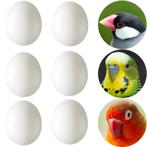 yzLYHMHAMY U vX`bN 6Zb  CR  g _~[ ZLZCCR  ɐBpi ɂHiTv DIY i  K[fjO ANZT[