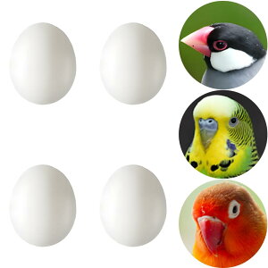 yzLYHMHAMY U vX`bN 4Zb  CR  g _~[ ZLZCCR  ɐBpi ɂHiTv DIY i  K[fjO ANZT[