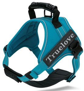 yzcocomall 2WAYAɗDn[lX Sypn[lX TRUE LOVE{X p hbO ybgpi 3Mˍޗ P o iCf ^A^A^Ɍ 