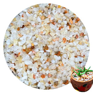 yzPAVIKEy300gzANAE  ~͍    p ANAEANZT[AK[fjOpDIYfR[VAANAEAԕrAKX