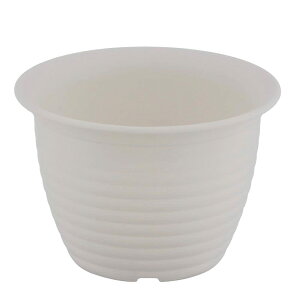 yzxXgR t[O|bg  v^[ 4 zCg MA-3259