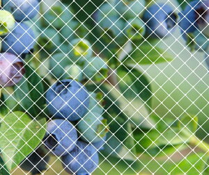 yzh lbg 悯lbg|lbg _Ɨpi ƒ؉lbg c [YANHAIDIDAI]ʎ h JX悯 ObY ʎhbhlbg LEh~΍ lbg