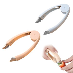 yzVitalBloom C`SEg}gp w^& 2Zbg | XeX | pCibvJb^[ | 舵ȒP | Lb`pi