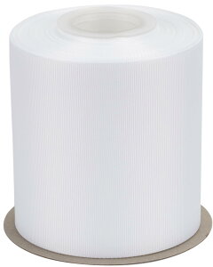 yzyIDECORRIBBONSzOO{ 100mm×S22m zCg(#029) 1[bE{wASEv[gbsOEDIY|