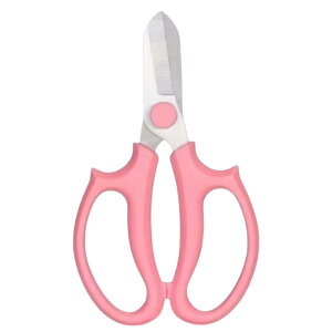 yzBLOOPIC |nT~ oT~ ؂ ΂ XeX| }؂oT~ V^fUC DIYc[ p |p͂ Kтɂ ₷ ʕ   ~