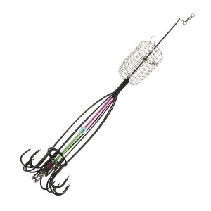 yzToddmomy nQ| R}ZJS GTJSt ނ Dނ WCp ła