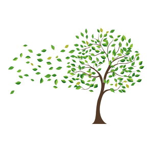 yzCondessacity EH[XebJ[    ǃXebJ[ 傫Ȗ؂̗t ǎV[ ͂ k EH[ y[p[ h EH[Ă[ wall sticker decoration rO