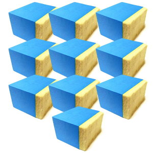 yzCopeflap RpEh   X|W ER KX Ƃ 10Zbg (MTCY)