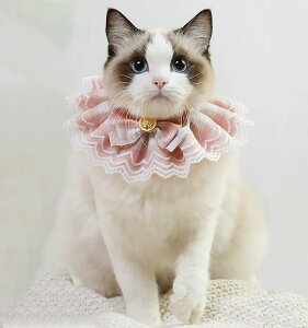 yzTengcong L̎ lR  悾ꂩ     ߉\ y ybgp lN^C 킢 y ^  Lp ybgpi (M, sN)