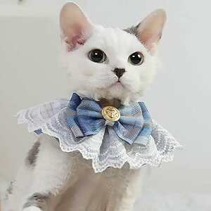 yzTengcong L̎ lR  悾ꂩ     ߉\ y ybgp lN^C 킢 y ^  Lp ybgpi (XS, u[)