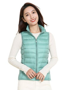 yzWnodruke _ExXg fB[X EgCg xXg y h g RpNg[ WN005 (JP, At@xbg, 2XL, O[)