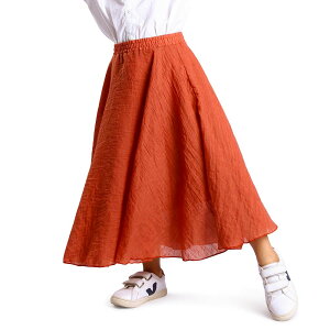 yz[Phorecys] OXJ[g K[Y ӂ XK[ n }LVXJ[g EFXgS AC Vv ʊw ʉ bh 120