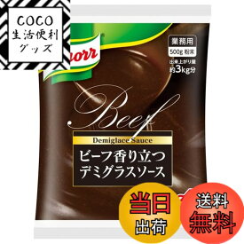 【送料無料】Ajinomoto クノール ビーフ香り立つデミグラスソース 業務用 500g袋 味の素 ビーフシチュー ハンバーグソース