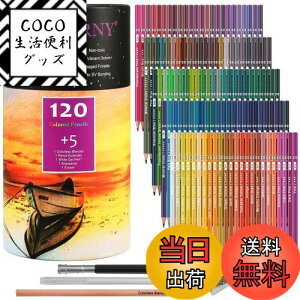 yzHIFORNY 125{̃J[yVZbgAl̓hGpA120F̃J[yVƃGNXgAA[eBXg̃\tgRAAlASҁAq̃h[COyVA[