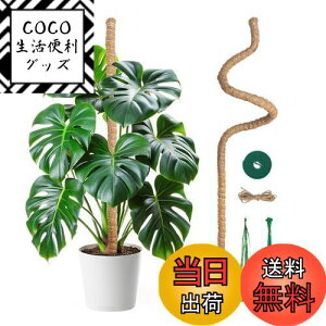 yzMcbazel ϗtA x Xe 120CM |px Ȃ\ RRibcEAx K[fjOp 7MM RCA|[p ێE{ێE_ƁE |p