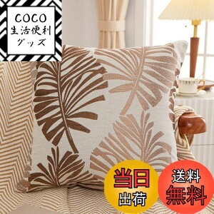 yzYunJeude NbVJo[ 45x45cm k 2Zbg Ȃƃl   t̕ WK[hD t@Xi[ CeA (45x45, R[q[)