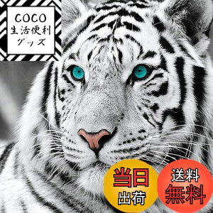 yzReofrey _Ch̊G _ChA[g NXXeb` Lbg , Lbg Sʓ\t^Cv r[YA DIY |Lbgz[ Xg CXg[ z[ 