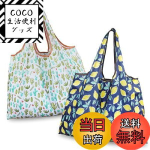 yz[GOKEI] GRobO y2 50×67cm eʁz ܂肽 obO RrjobO hf [ ≘ɂ y RpNg