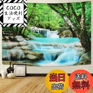 yzPknoclan X^yXg[ kǊ|^yXg[ X̃JXP[h^yXg[ Riz|X^[  X̑ 210x150cm唻Ǌ|z   ͗lւ CeA