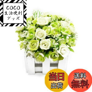 yzBEADY ~j_C[o lHϗtA  G} tFCNO[ CeA Mtg j (ԍ(zCg), O[&zCg)