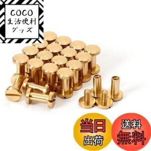 yzVJSXN[ 20 8×4×9mm ^JglW R` obO xg т傤 xbg X^bY p[c e xbg X^bh lW U[Ntg DIY nhCh p[