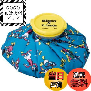 yzXP[^[(Skater) X̂ ACXobO M XX fBYj[ ~bL[&tY 23 21cm ICB2-A