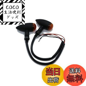 yzBeatus eی^ ~j ECJ[ lWa10mm oCN ėp JX^ p[c 12V 2Zbg LEDł͂܂ (ubN×Ao[ 2)