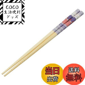 yzXP[^[(Skater) |S  | 21cm |PbgX^[ QK[  ANT4-A