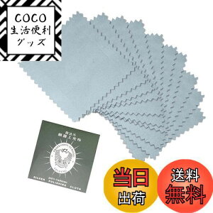 yzRICISUNG ␻i▁z Vo[ NXCVo[ip ANZT[  Vo[ ANZT[  ₷ CX w y rv F