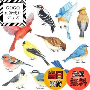 【送料無料】DECOWALL DS-8042 小鳥 (小) ウォールステッカー デコ 幼稚園 保育園 子供部屋 DIY 用 壁転写 シール ウォールアート シール 男の子 女の子 こども バスルーム デコレーション ビニール