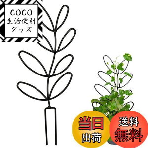 yzYUWENW |x Ax 1Zbg Ԃ Ԏx AT|[g ϗtA T|[g A|h~ Œ\ ėp\ AŒ A UT|[g 鐫Ap 
