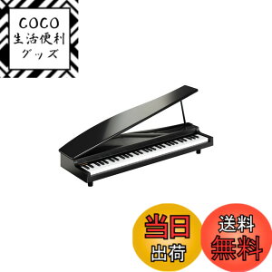 �y���������zKORG MICROPIANO �}�C�N���s�A�m �~�j����61�� �u���b�N 61�Ȃ̃f���\���O���� �������t�\