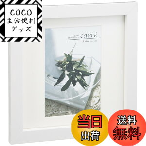 �y���������z�n�N�o HAKUBA �t�H�g�t���[�� �X�N�E�F�A �ؐ� �z �J�� L �T�C�Y 1�� �z���C�g FSQCR-WTL1 �y���Ċ���Ȃ�PET���̗p �^�e���R���p