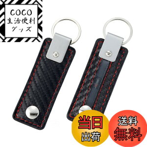 �y���������z�����Y�� EXEA �ԓ��p�i ���U�[�A�[�X�L�[�z���_�[ EF-60 �J�[�{��