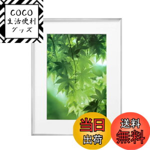 �y���������z�n�N�o HAKUBA �y�� �z�� ZERO�t���[�� G-01 A3 �V���o�[ FZG01-A3SV