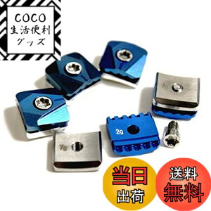 �y���������z�e�[���[���C�h SLDR �h���C�o�[�w�b�h�p �E�F�C�g �������i 5.5g 7g 9g 10g 12g 14g (14)