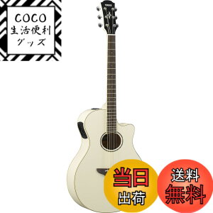 �y���������z���}�n YAMAHA �G���A�R�M�^�[ APX600 VW