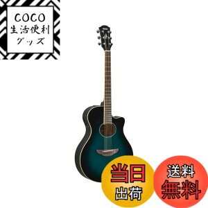 �y���������z���}�n YAMAHA �G���A�R�M�^�[ APX600 OBB �I���G���^���u���[�o�[�X�g(OBB)