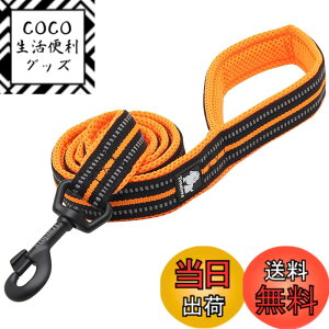 �y���������zIKENOKOI���p���[�h 3M���ˑf�� ����~�� ��� ���^�� ���^�� ��^���p ���o���� ���U���i�I�����W 2.5*110cm�j