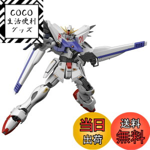 �y���������zMG �@����m�K���_��F91 �K���_��F91Ver.2.0 1/100�X�P�[�� �F�����ς݃v�����f��