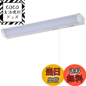 �y���������zLED�������� 20�` �����F �����Ђ��X�C�b�` �z���H���K�v_LT-NKL14D-HC 06-4022