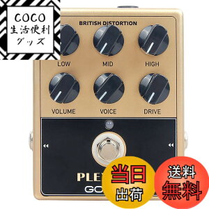 �y���������zGOKKO AUDIO �A���v �V�~�����[�^�[ �y�_�� �G�t�F�N�^�[ �u���e�B�b�V�����b�N�T�E���h PLEXIBOX GK-36