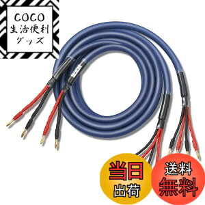 �y���������z�y�o�C���C���[�z WYVERN AUDIO �ɑ� �������x�� 12�c �o�i�i�v���O�t �����i HIFI �o�C���C�������O�ڑ� �o�C���C���[ �X�s�[�J�[�P�[�u�� 2�{1�g LR�Z�b�g �yWVA-04BW12�z �i�u���[�j 2.