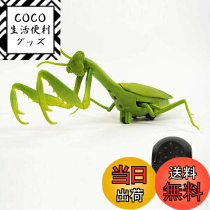 �y���������z�J�}�L�� ���W�R�� Mantis Radio Controlled