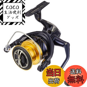 �y���������z�V�}�m(SHIMANO) �X�s�j���O���[�� 19 �X�t�F���X SW 4000XG �T�[�t �q���X�Y�L ���C�g�V���A�W�M���O�E�L���X�e�B���O