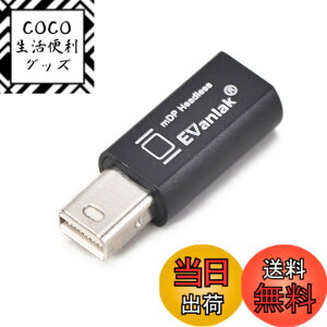�y���������zEVanlak Mini DisplayPort �w�b�h���X�S�[�X�g�f�B�X�v���C�G�~�����[�^�[ PC 4K DP �_�~�[�v���O�p (�w�b�h���X1080-3840x2160@17hz�Ή�)